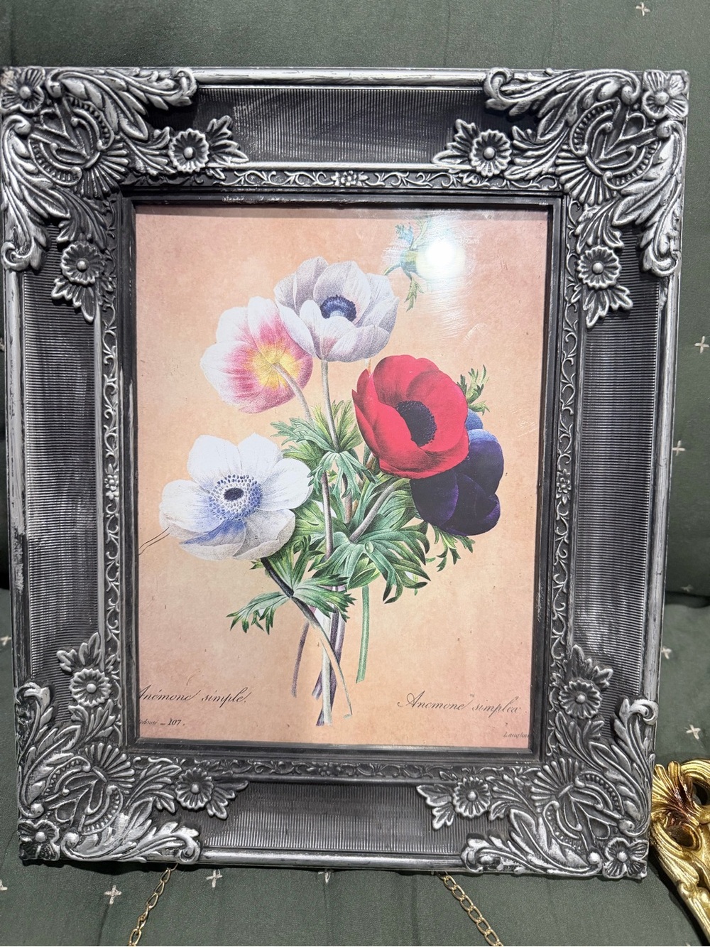Framed Botanical Print, 10 3/4 x 13